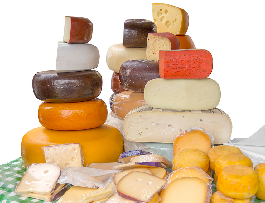 cheese cheese